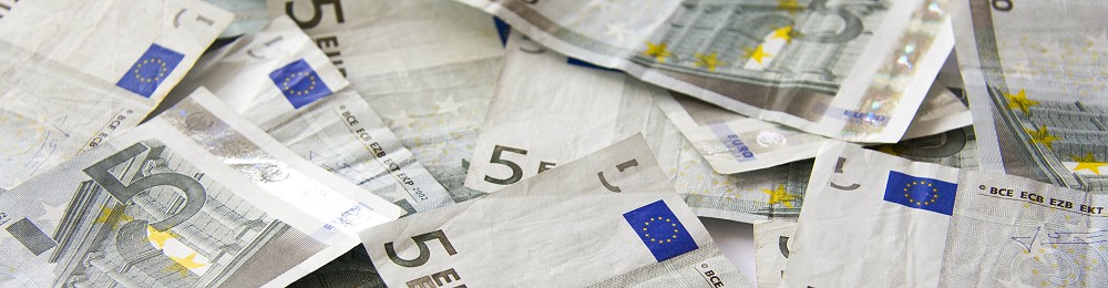 geld euro's